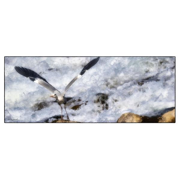 PHOTO84, CLUB, 84 , LUBERON